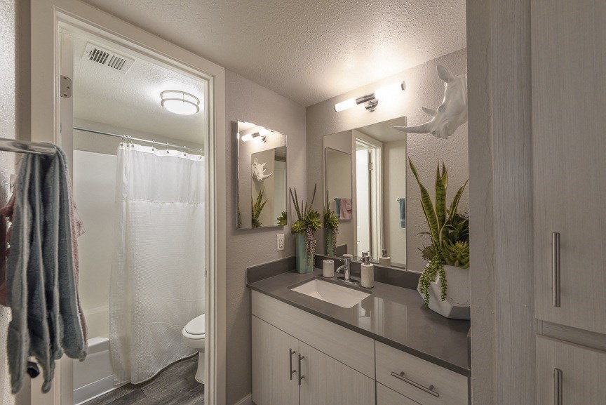 The Icon on Central Apartments in Phoenix, Arizona Model Bathroom