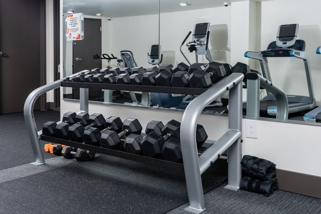 a row of dumbbells on a rack in a gym