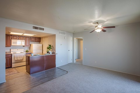 8215 N. Oracle Road 1-3 Beds Apartment for Rent