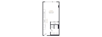 A floor plan of a small apartment with a living room, kitchen, and closet.