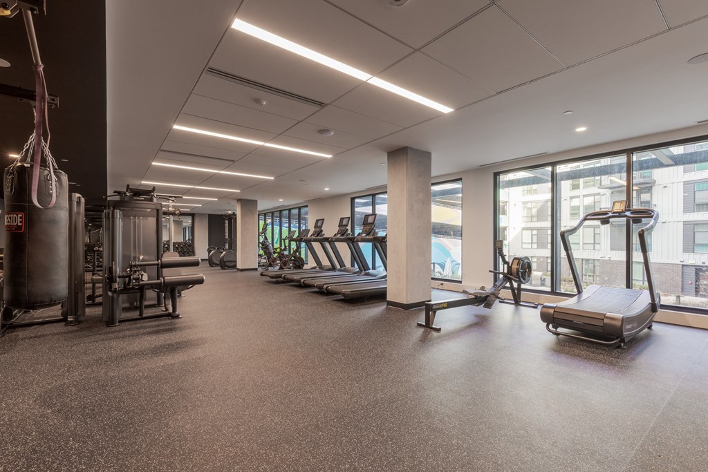 A gym with a variety of equipment including treadmills, weights, and exercise machines.