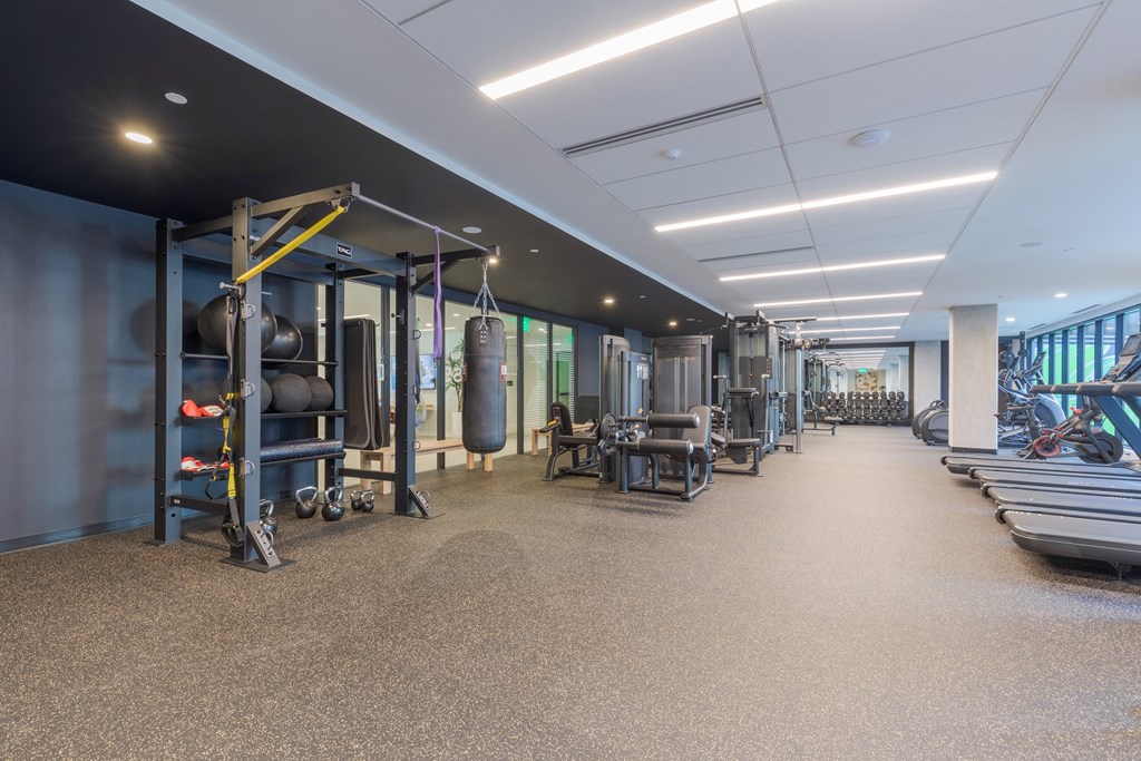 A gym with a variety of equipment including a punching bag.