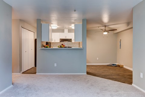 A kitchen area with a counter and cabinets.