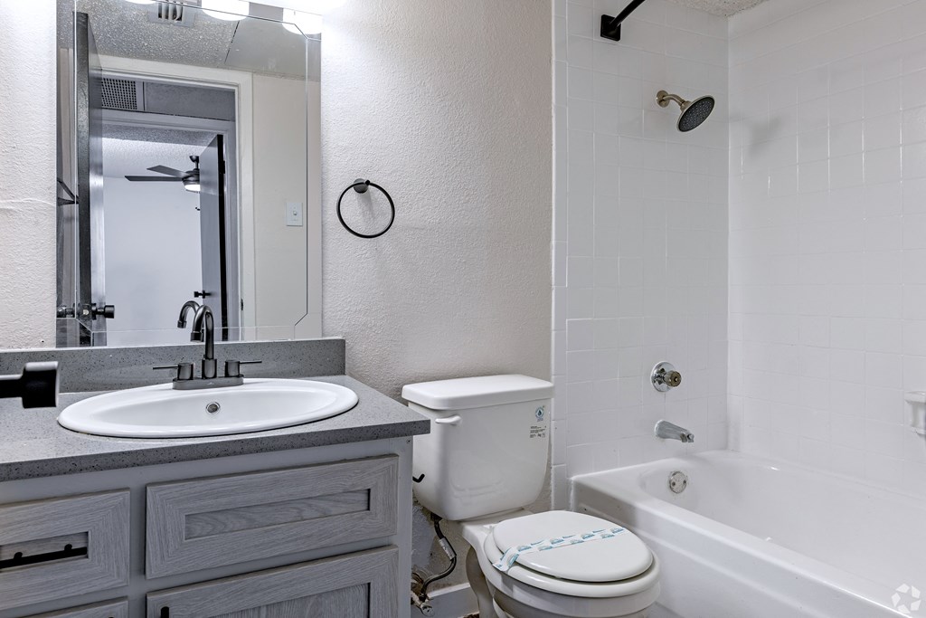 a bathroom with a sink toilet and tub and a mirror