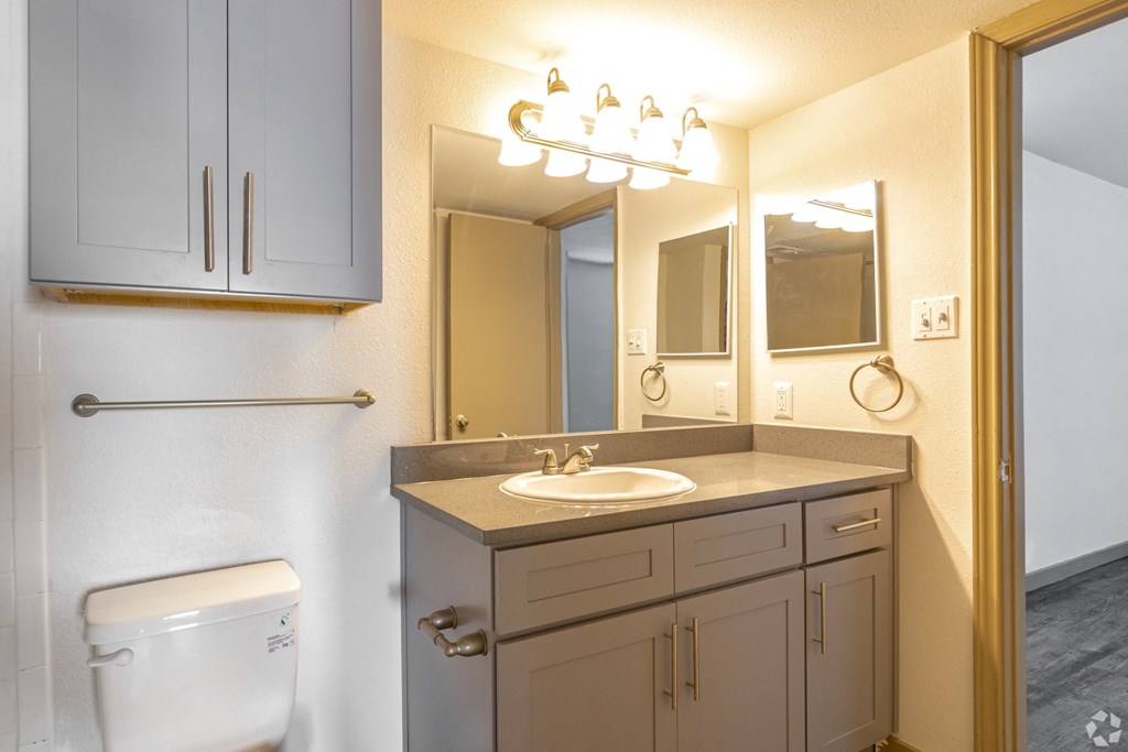 a bathroom with a sink and a mirror and a toilet