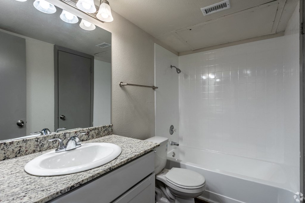 a bathroom with a sink and a toilet and a shower