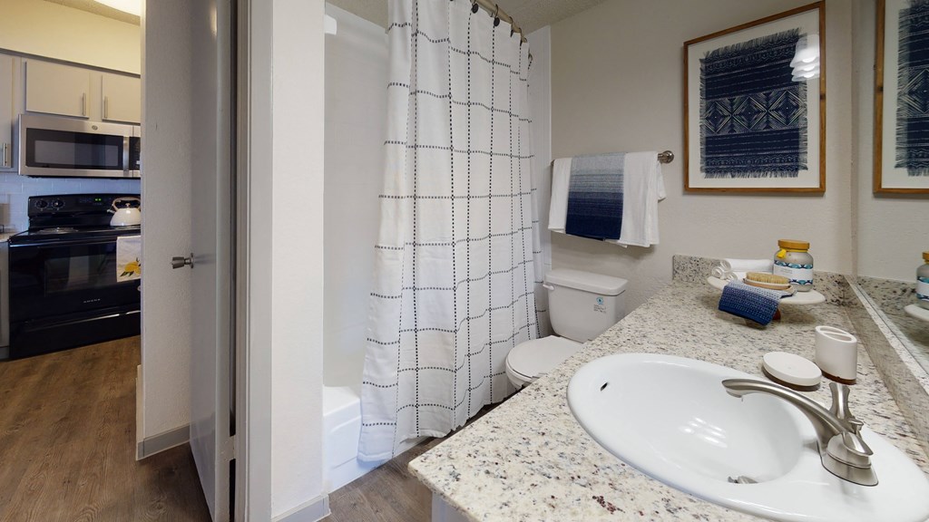 a bathroom with a sink and a toilet and a shower