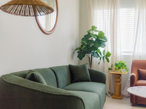 A living room with a green couch and a potted plant.