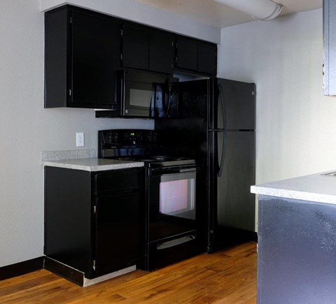 a kitchen with black cabinets and a black refrigerator