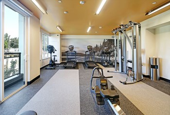 Geo Apartments Fitness Center - Photo Gallery 23