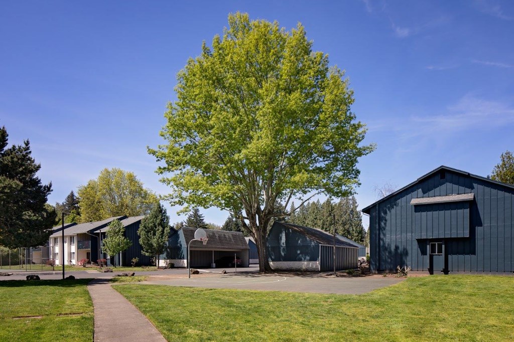 a tree in front of a building