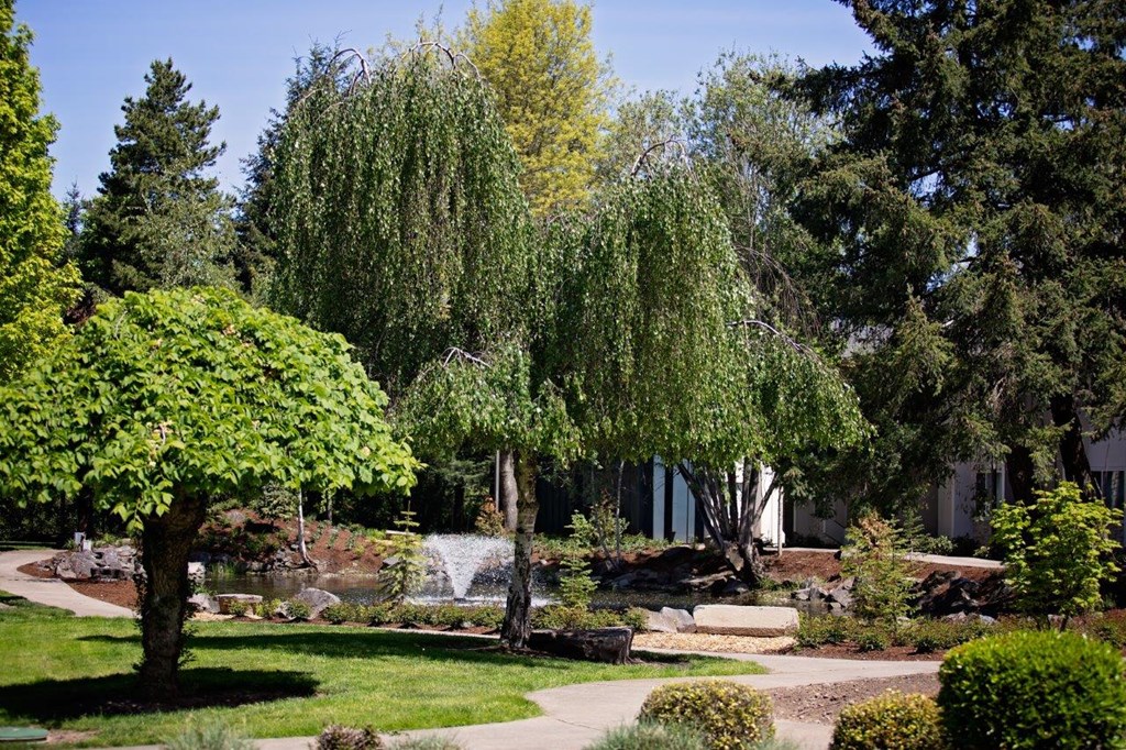 a walkway through a park with trees and shrubs