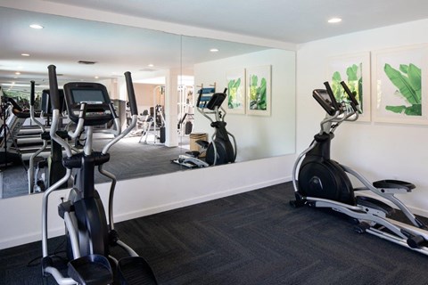 the gym at the apartments for rent