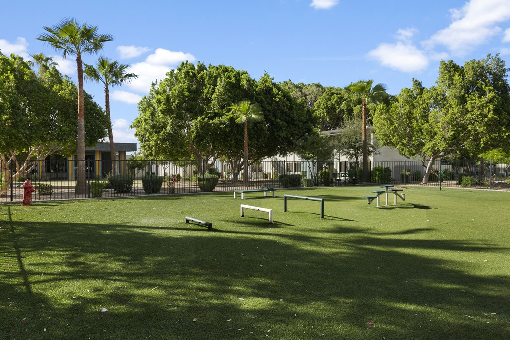 Sono Tempe Apartment Homes Park with Green Grass