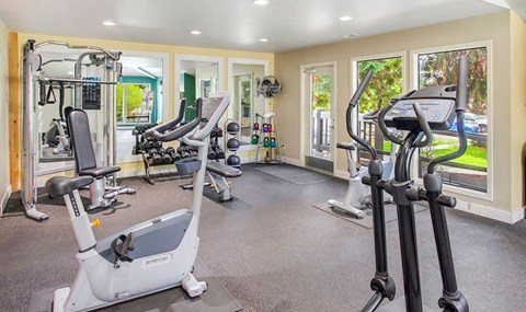 A spacious gym with a variety of equipment including treadmills, stationary bikes, and weight machines.