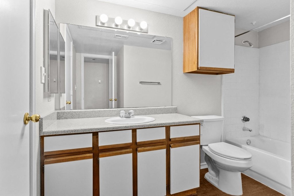 Valley Ridge Apartments in Lewisville, Texas Bathroom