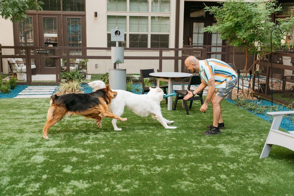 Man Playing with Dogs at Dog Park at Valor at the Realm in Lewisville, Texas