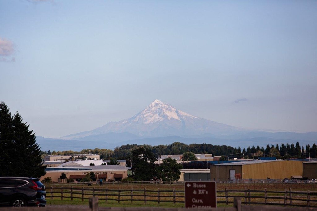 Vancouver, Washington Building and Treetops with Mountain in Distance