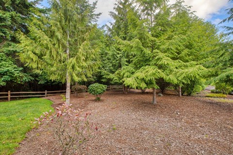 A garden with a mix of trees and shrubs.