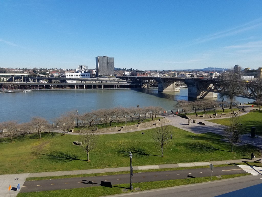 38 Davis waterfront with grass