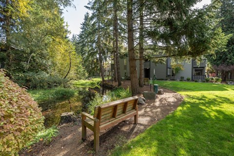 A wooden bench sits in a grassy area next to a pond.