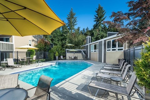 A pool surrounded by chairs and umbrellas.