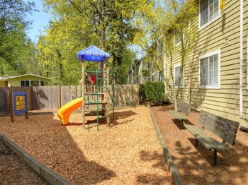 Orchard Ridge Playground with Slide - Photo Gallery 11