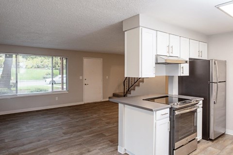 Somerset Terrace Kitchen and Living Room