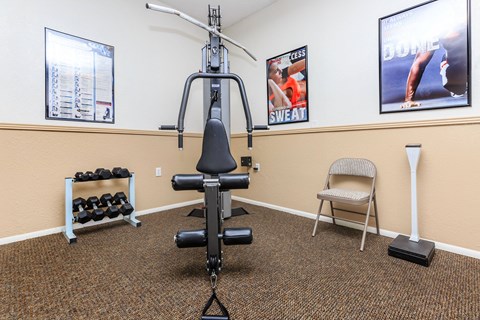 A gym room with a weight bench, dumbbells, and a chair.