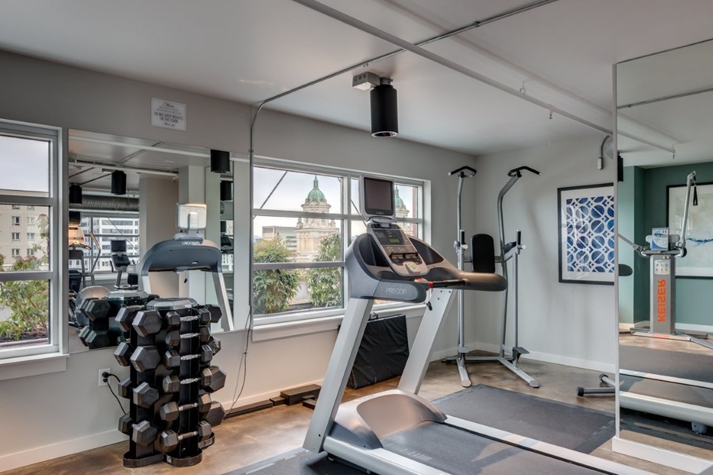 A gym with a treadmill, weights, and exercise equipment.