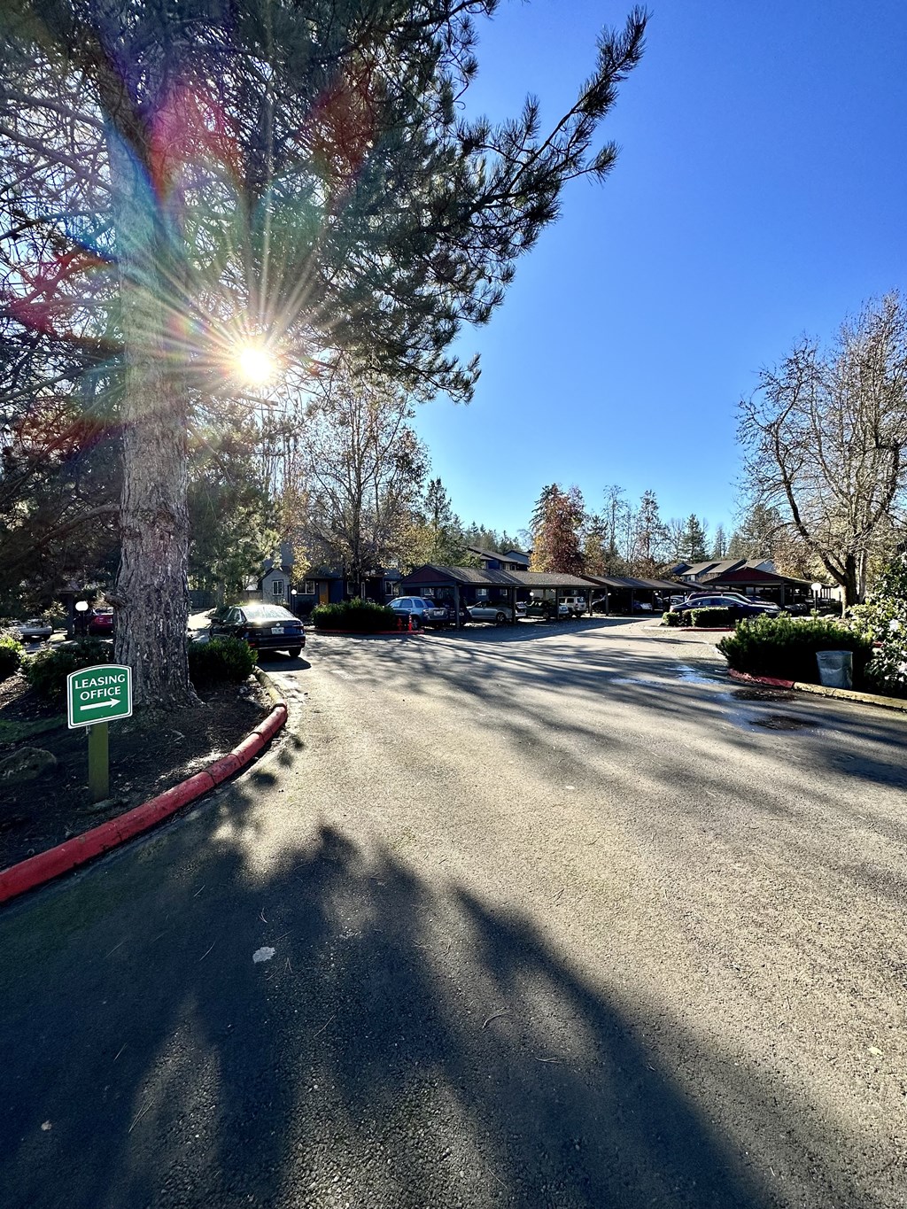 Forest Ridge Apartments parking lot