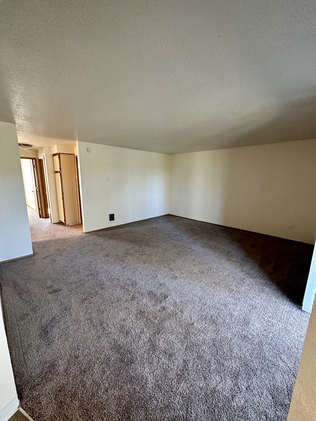 Forest Ridge Apartments large living room with carpeting