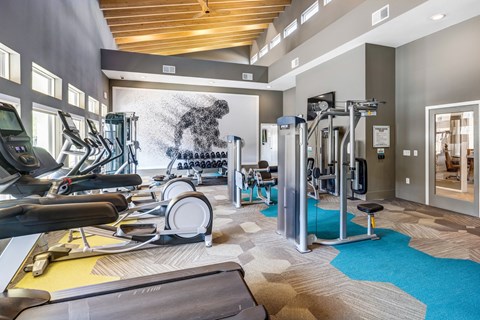 A gym with a variety of equipment including treadmills, weights, and exercise machines.