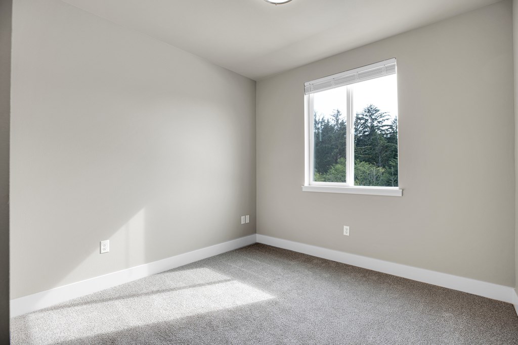 A room with a window and a carpeted floor.