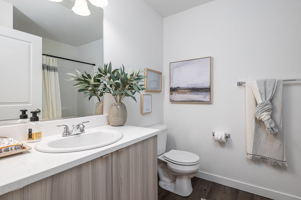 The Tides at Willow Pointe Apartments Model Bathroom