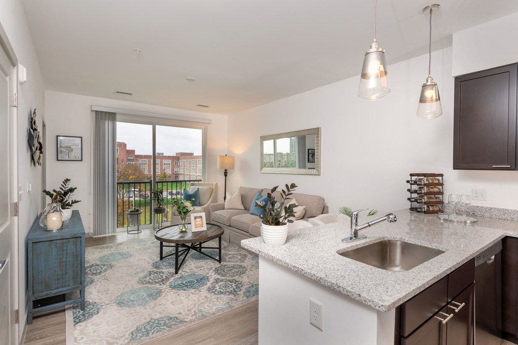 Zen Apartments Kitchen and Living Room