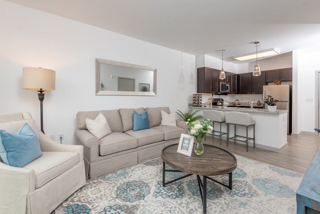 Zen Apartments Living Room and Kitchen