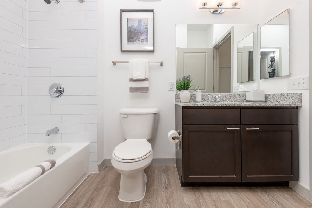Zen Apartments Bathroom with Bathtub