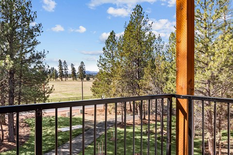 A balcony overlooks a grassy field with trees.