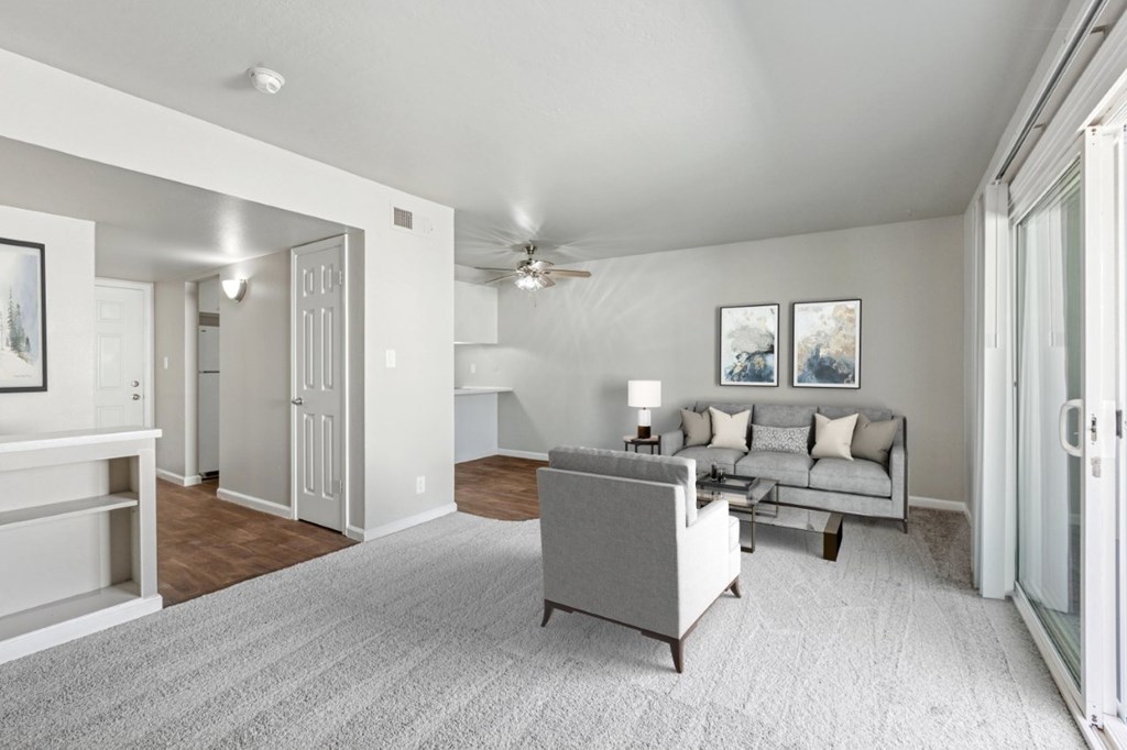 A living room with a grey couch and a grey rug.
