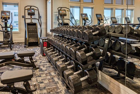 a gym with weights and cardio equipment in a building