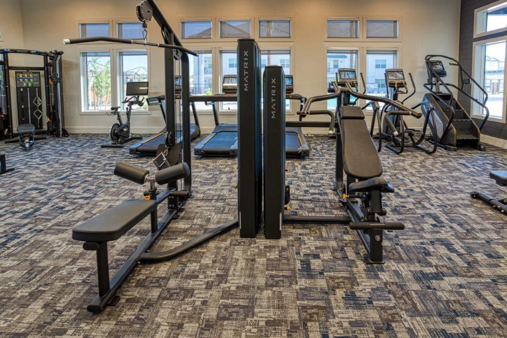 a gym with weights and other equipment in a room with windows