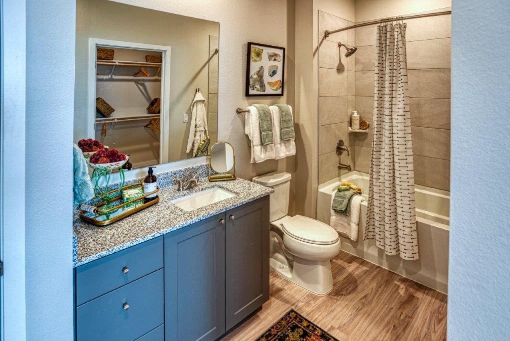 a bathroom with a sink and a toilet and a shower