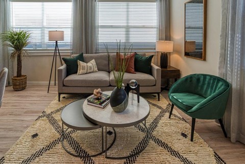 a living room with a couch and a chair and a rug