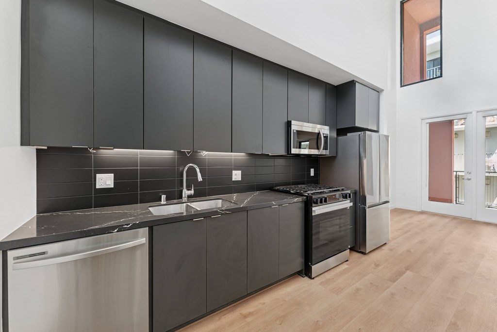 OnyxOnPark_SanDiego_CA_Vacant_Penthouse_A_A modern kitchen with black cabinets and stainless steel appliances.