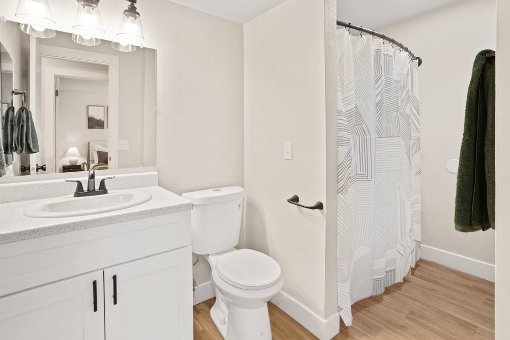 a bathroom with a shower toilet and sink and a mirror