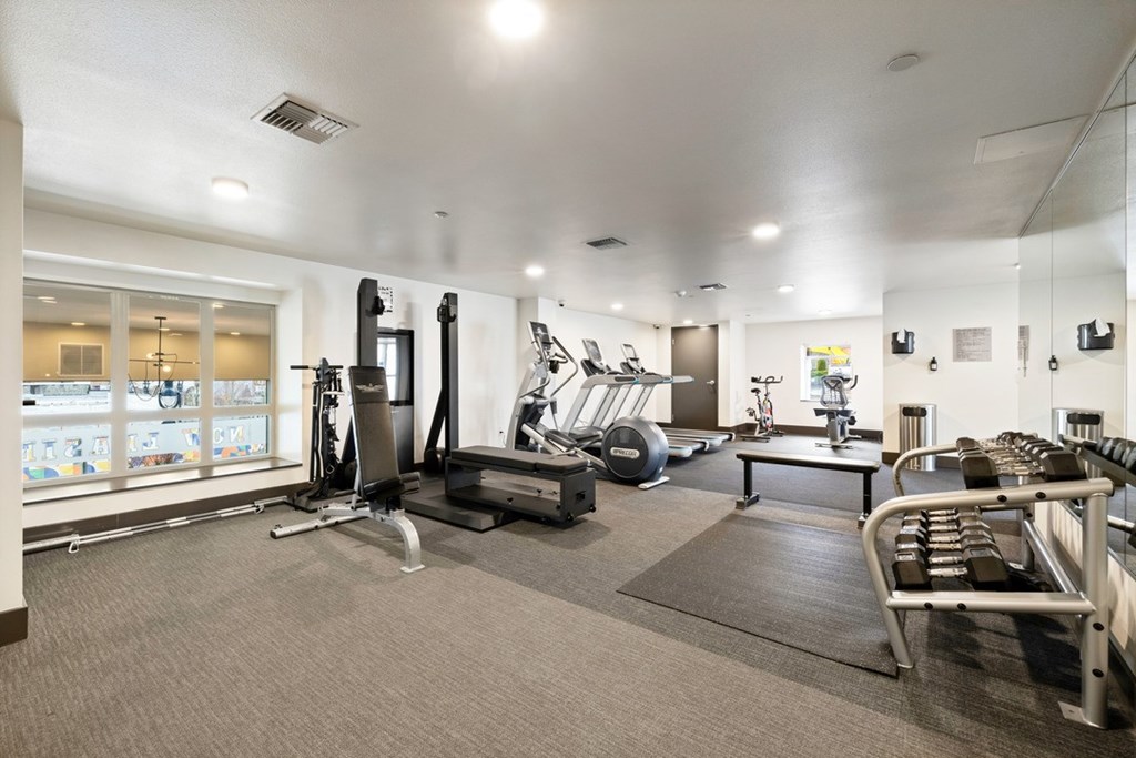 A spacious gym with a variety of equipment including treadmills, weight machines, and a bench press.