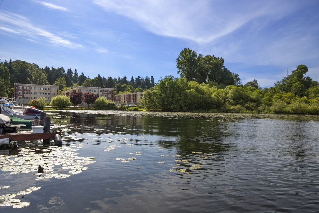 a view of a lake with a dock and buildings in the background