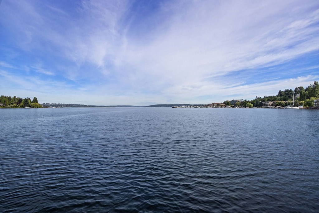 a view of a lake with a blue sky in the background
