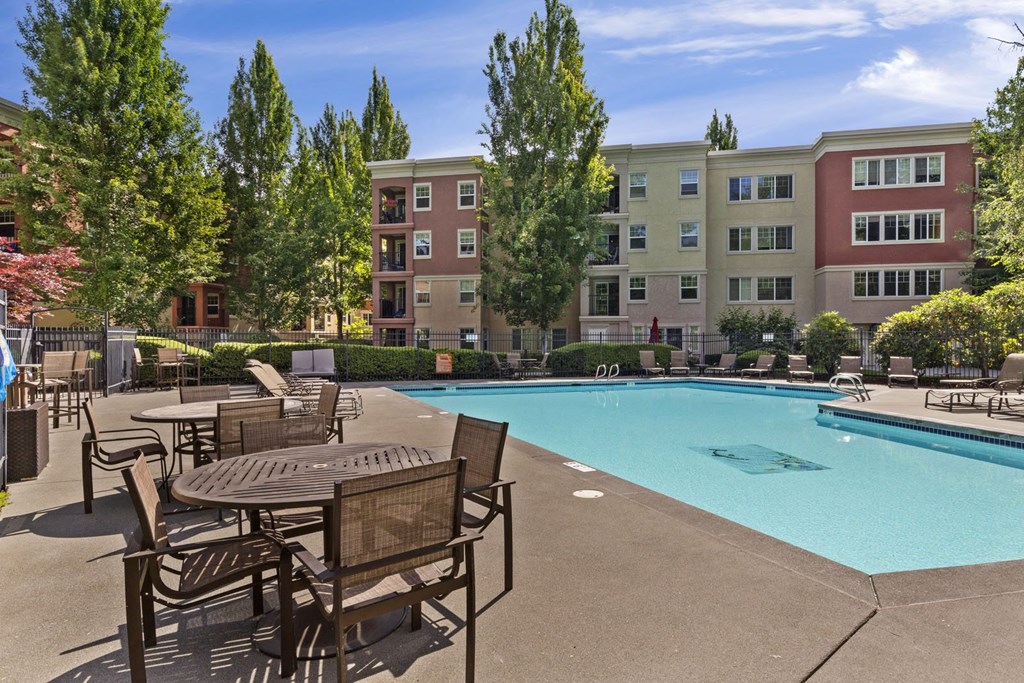 our apartments in a city have a swimming pool